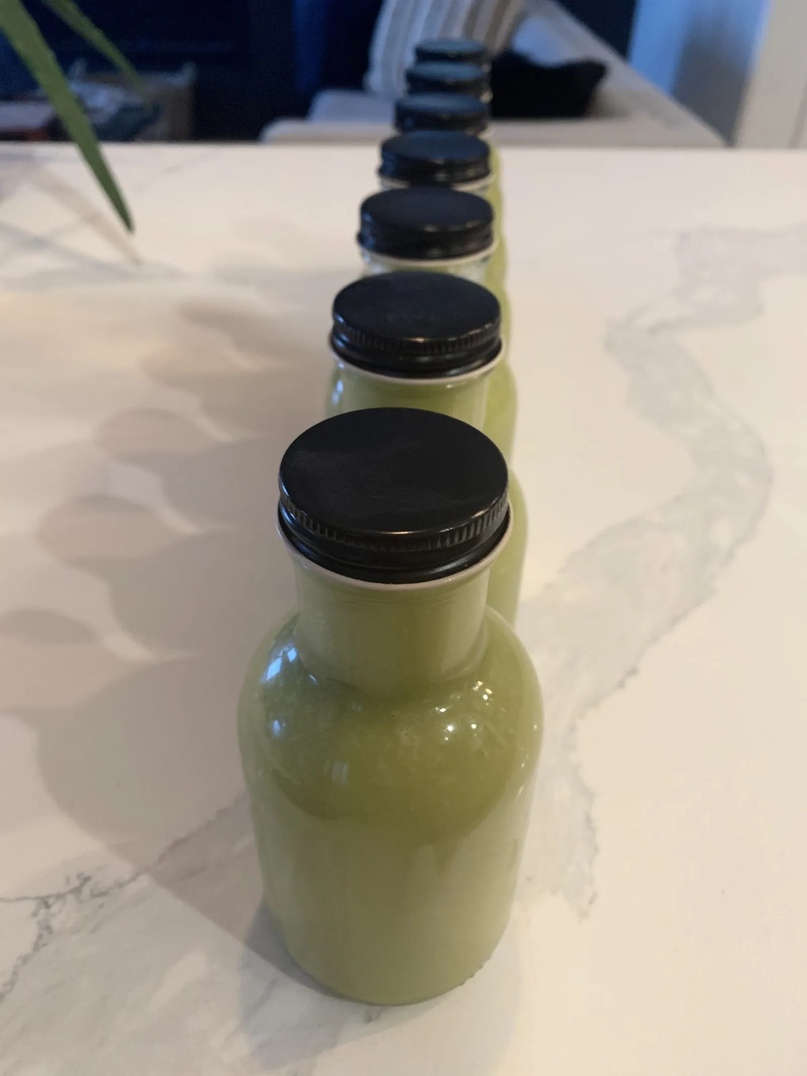 Homemade Green Cholula Style Hot Sauce