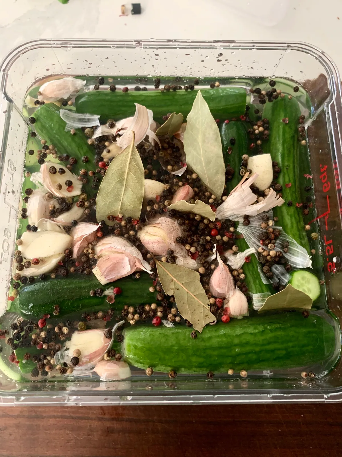 Lacto Fermented Kosher Dill Pickles